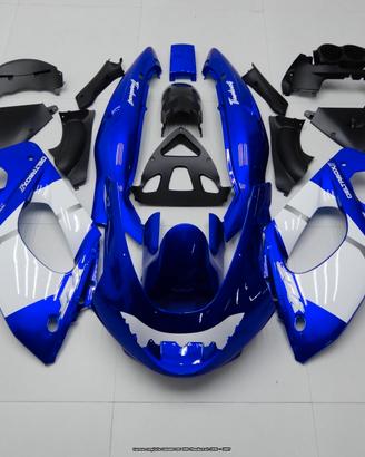 Carena per YAMAHA YZF 600 Thundercat 1996 - 2007