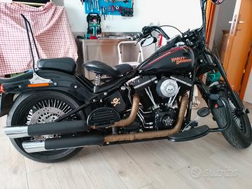 Harley davidson cross bones