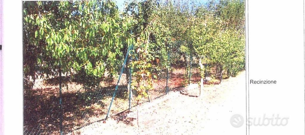 Appartamento – Velletri, Contrada Malatesta - Vista 2