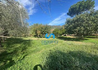Terreno agricolo 3.100 mq - Mezzano (CE)