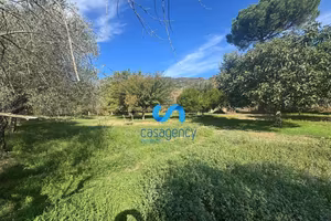 Terreno agricolo 3.100 mq - Mezzano (CE)
