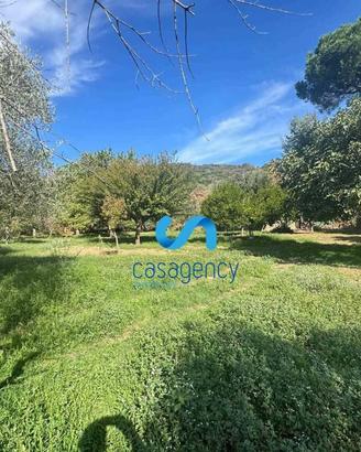 Terreno agricolo 3.100 mq - Mezzano (CE)