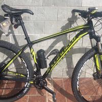Mountain bike Specialized 29