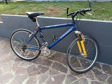 Mountain bike