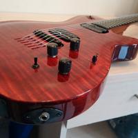 chitarra elettroacustica GODIN storica 