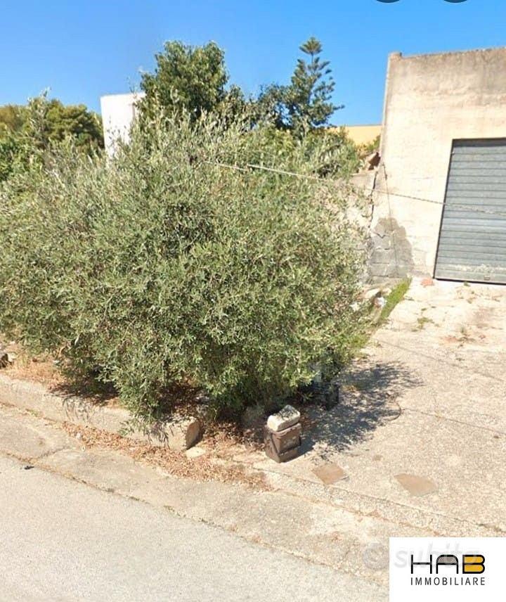 Terreno edificabile con magazzino Buseto Palizzolo - Vista 3