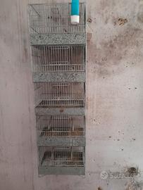 gabbia x uccelli, A 5 piani 