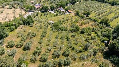 Terreno di 5460 m² a Salisano