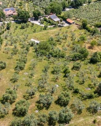 Terreno di 5460 m² a Salisano