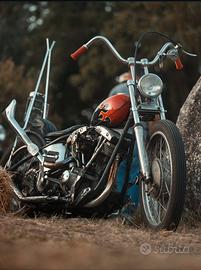 Shovelhead FXWG ‘81