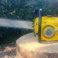 Grande motosega forestale ALPINA 90CC ITALY