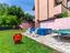 Immagine 8
