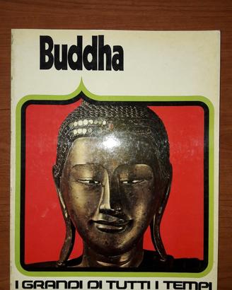 Budda arnoldo mondadori editore, mai aperto