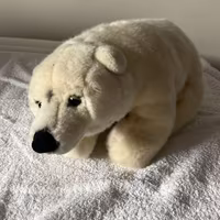 peluche orso polare national geographic