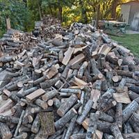 legna di quercia secca 