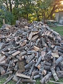 legna di quercia secca 