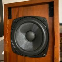 Diffusori artigianali con altoparlante full range