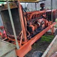 Motopompa motore diesel e polpa caprari