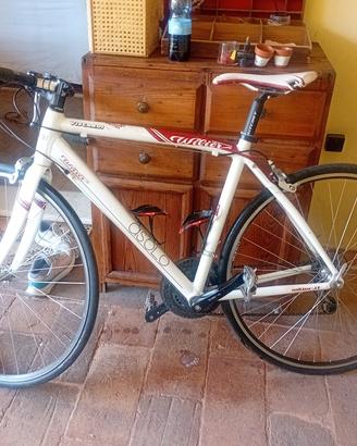 bici Strada C4 perfetta taglia M/ WILIER taglia S
