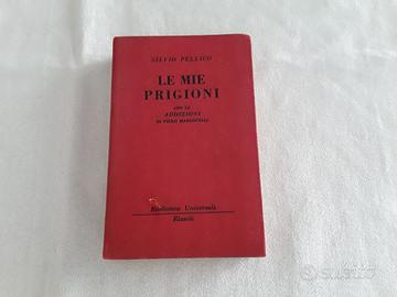 Le mie prigioni