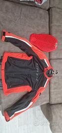 Giacca moto estiva DAINESE + paraschiena ALPINESTA