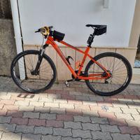 Bicicletta MTB 29 L  2022