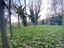 Immagine 29