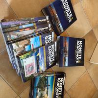 Raccolta monete e banconote del mondo