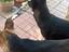 Immagine 5