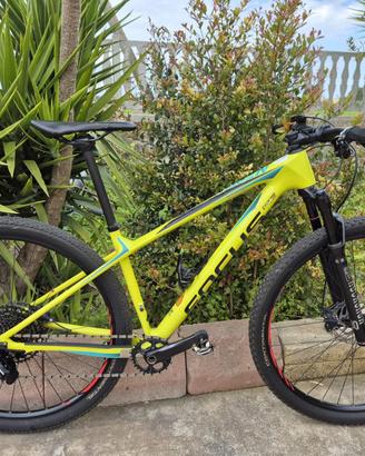 Bici Mountain Bike Focus Raven MTB