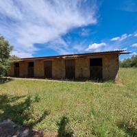 Casale in campagna con terreno Suvereto