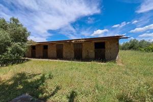 Casale in campagna con terreno Suvereto