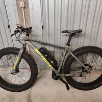 fat bike elettrica bottecchia