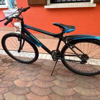 Bici da stazione