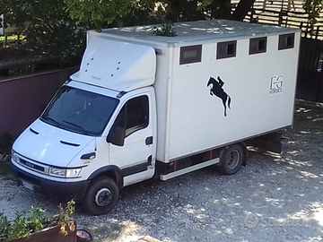 Daily trasporto cavalli