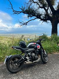 Triumph trident 660 tribute edition