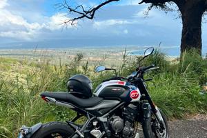 Triumph trident 660 tribute edition