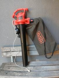 Aspira foglie 