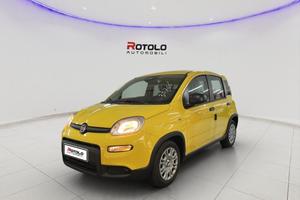 FIAT Panda 3ª serie Panda 1.0 FireFly S&S Hybr...