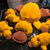 Papere di peluche
