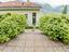 Immagine 12