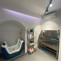 Centro Tolettatura Cani zona Vomero