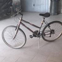 Bicicletta 26 donna MONTEMURLO