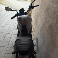 Benelli Leoncino 800