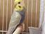 Immagine 2