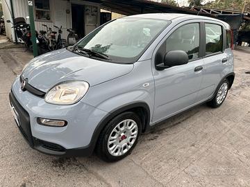 FIAT PANDA 1.0 HYBRID - 2022