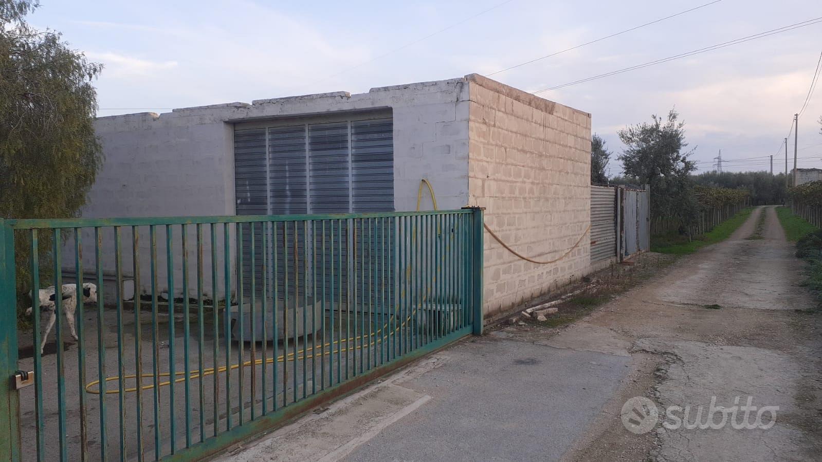 Casa – Barletta, Centro - Vista 4