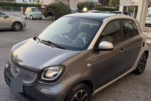Smart fourfour 2015