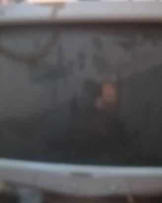 Monitor  Philips crt