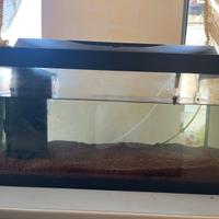 Tetra Starter Line LED 54 l Acquario per principia